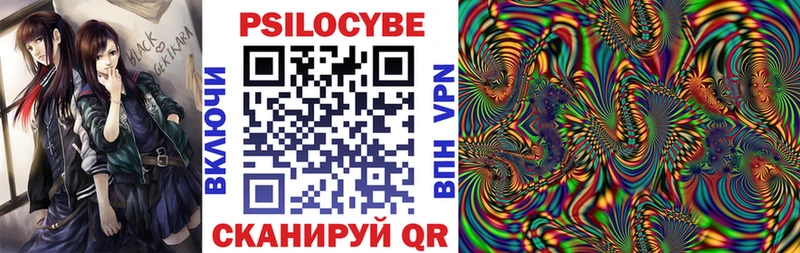 Галлюциногенные грибы прущие грибы  Купить где  Подпорожье 
